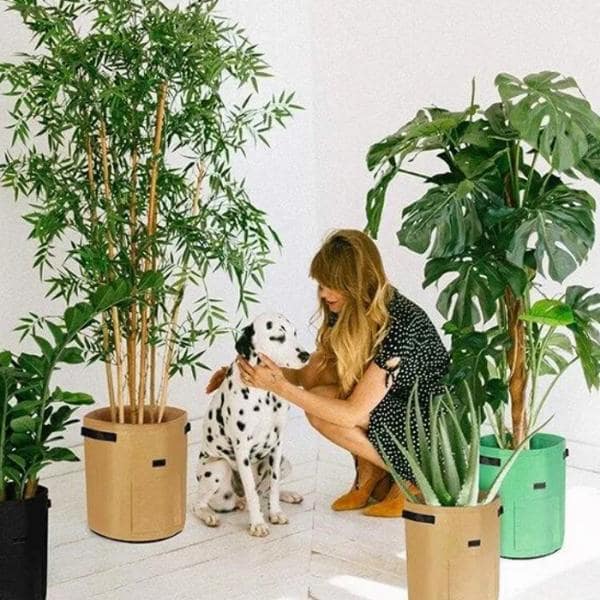Portable-Garden-Stand-Gallery-Img3-min