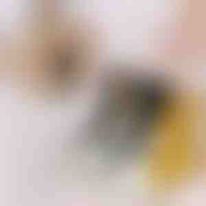 Čarape mačje šape (3 kom) | GATOSOCKS