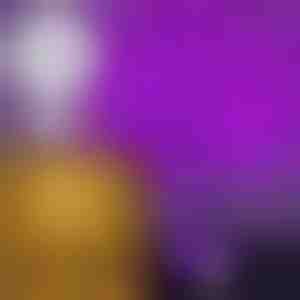 Trepereće svjetlo drvo | BLISSTREE