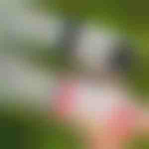 Pištolj za mjehuriće s 69 otvora LED | BUBBLEPUFF