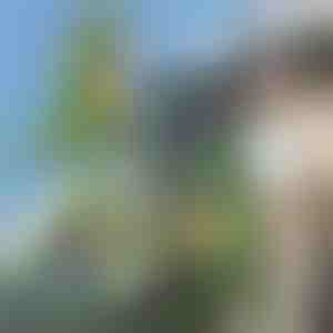 3D ruksak u obliku dinosaura | DINOBACK