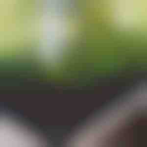 Povišena vrtna gredica od tkanine | FLORAISE