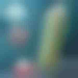 Sklopiva boca | FOLDSIP