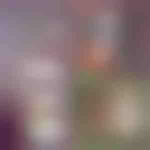 5-slojni sklopivi regali za pohranu | FOLDWAY