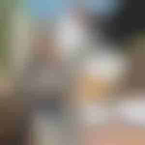 Specijalni alat za brušenje lanca motorne pile + brusilica GRINNEX