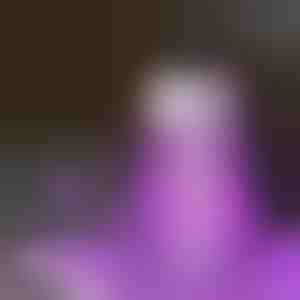 Snažna UV lampa protiv komaraca | INSECNI