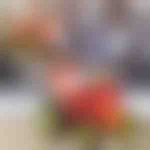 Izvodite vratolomije sa skačućim traktorom | JUMPICAR