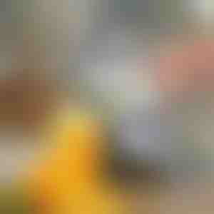 Manual Fruit and Vegetable Juicer, Easy Hand Press, Portable for Fresh Juice Extraction | JUVOPRESS