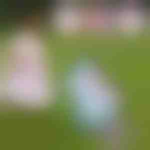 Plišana igračka jednorog koji hoda i pjeva | ROXY