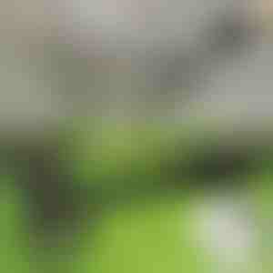 Alat za plijevljenje | RUNCO