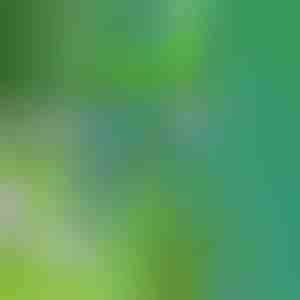 Alat za plijevljenje | SPINOUT