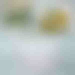 Kuhinjski rotirajući organizator | SPINSTATION