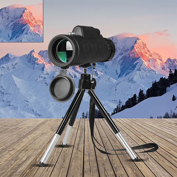 Monokular VISIONIC