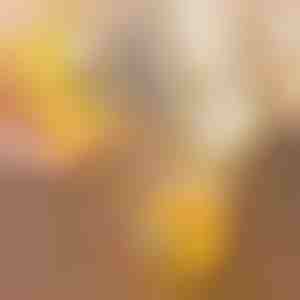 Otvarač ljuske jaja | YOLKIE