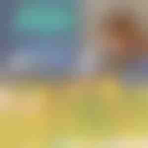 Slagakice sa tračnicama | ZOOMSTER