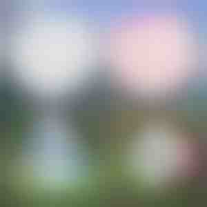 Višenamjenski napuhavajući balon | SLIMEBUB