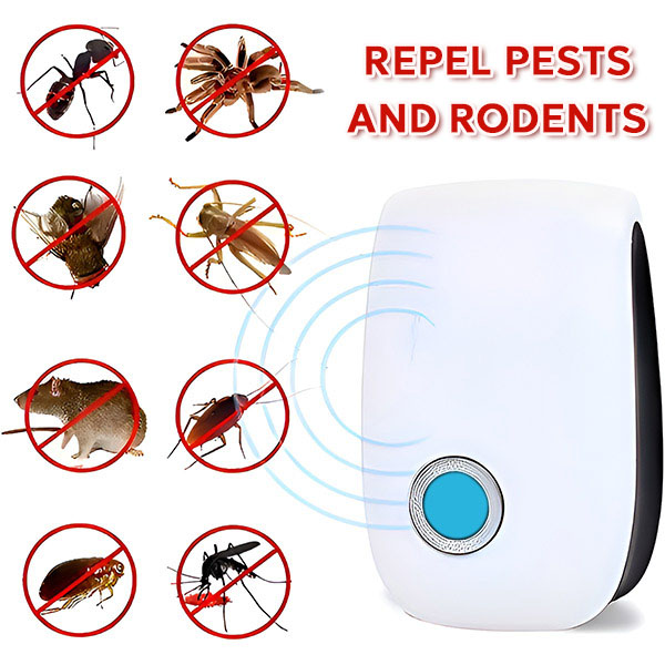 EN-BUGBUSTER13651__e3a2c2e2