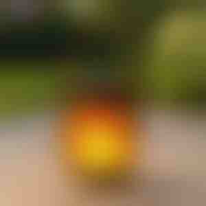 Solarne svjetiljke s efektom plamena u pokretu | FLAMLUX