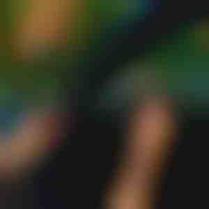 Brtva za vrata automobila (5 m) | EVOSEAL