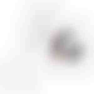 VACUSTICK + (UP) VACUFILTER