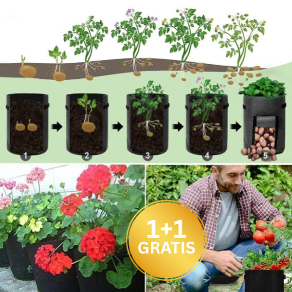 F2LORAFOLD 11222__91cf83fc