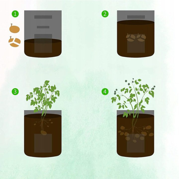 FLORAFOLD 13222__2530db69