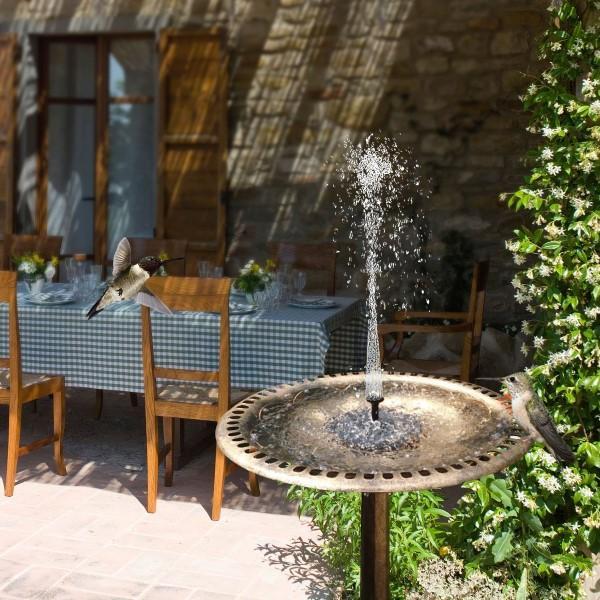 Fountain for Birds and Bees