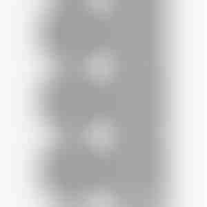 GRILLRUN (1+2 Gratis)