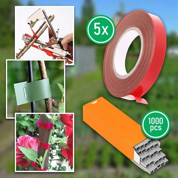 PLANTBRANDTAPE12959__280525