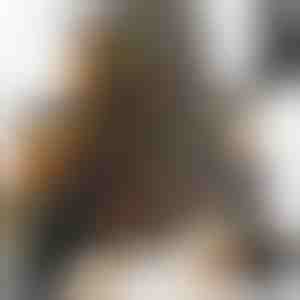 DECOHAUS SPICE JARS 36 PACK - BLACK STAINLESS STEE